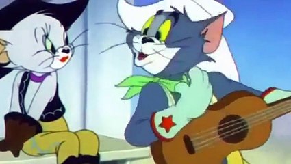 Tom and Jerry Cartoon For Kids Texas Tom 1950