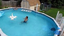 PET GOOSE, OLIVER, SWIMS IN SWIMMING POOL with HUMAN MOM