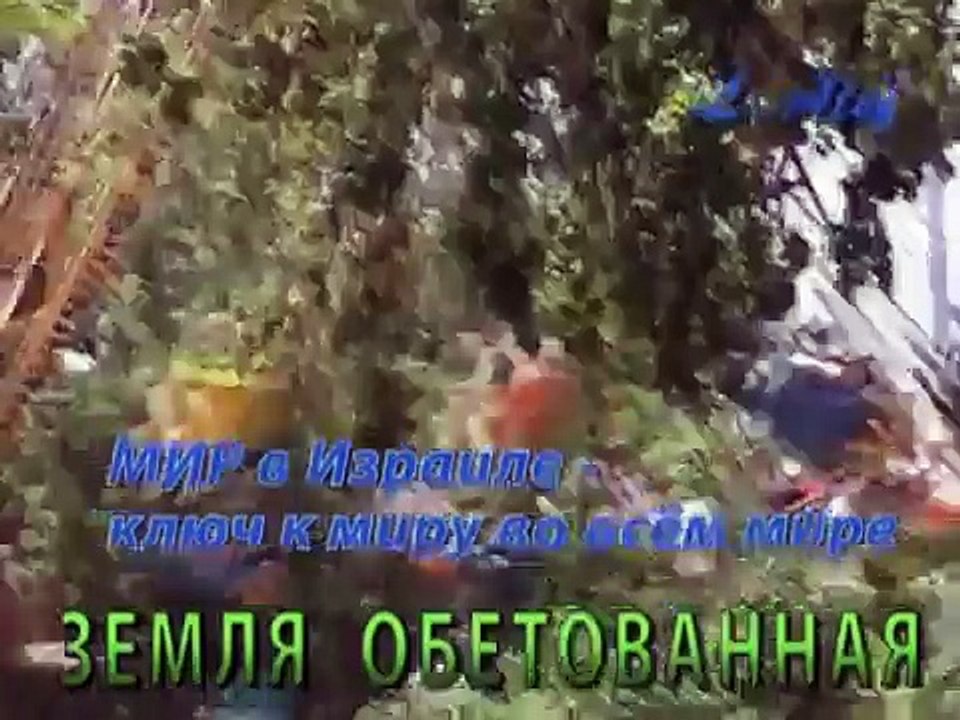 День Израиля! "Земля Обетованная" Слова Музыка L. Alef Хорошая песня Новинка Еврейский мир правда