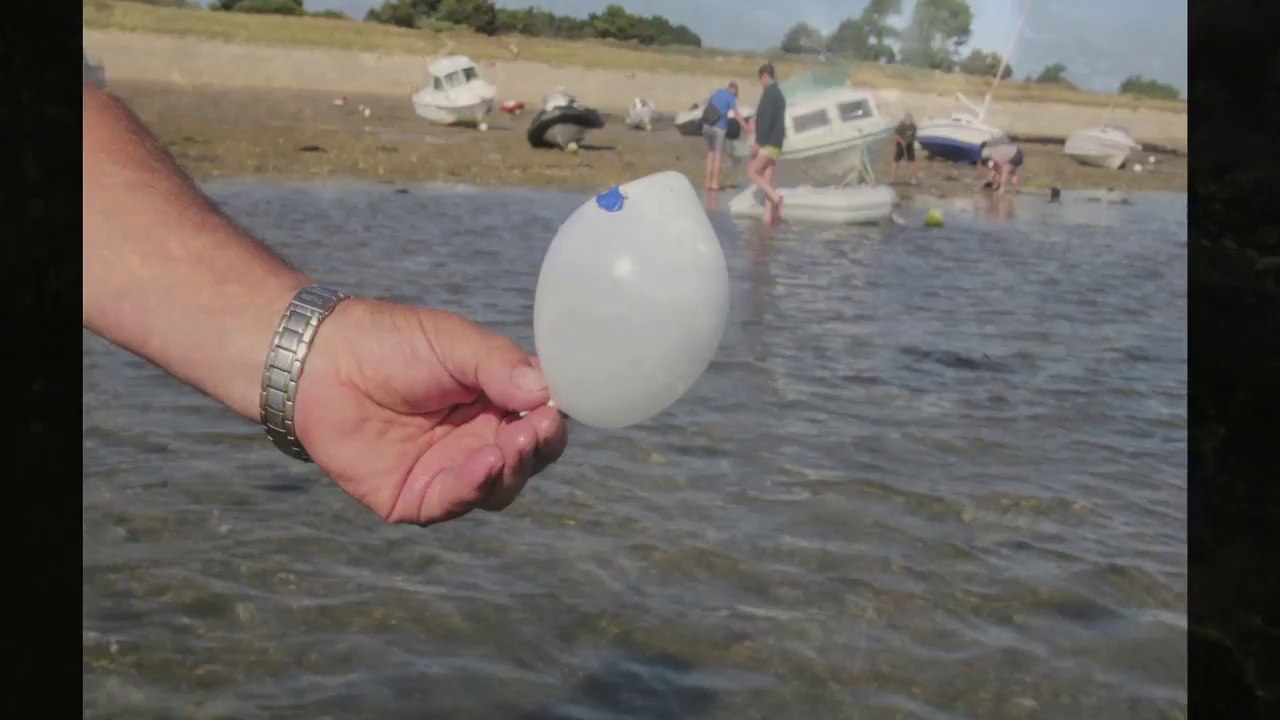 Locmariaquer-La découverte de Magamyto