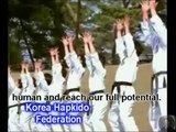 Amazing Korean Hapkido - haemukwan.com