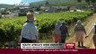 SA's Black Economic Empowerment creates opportunities in the wine sector