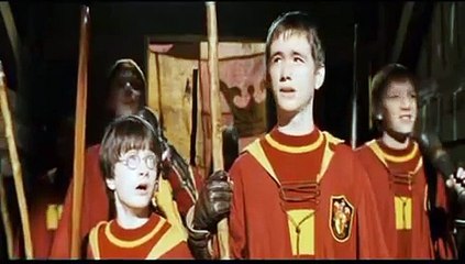Harry Potter - It's Raining Men