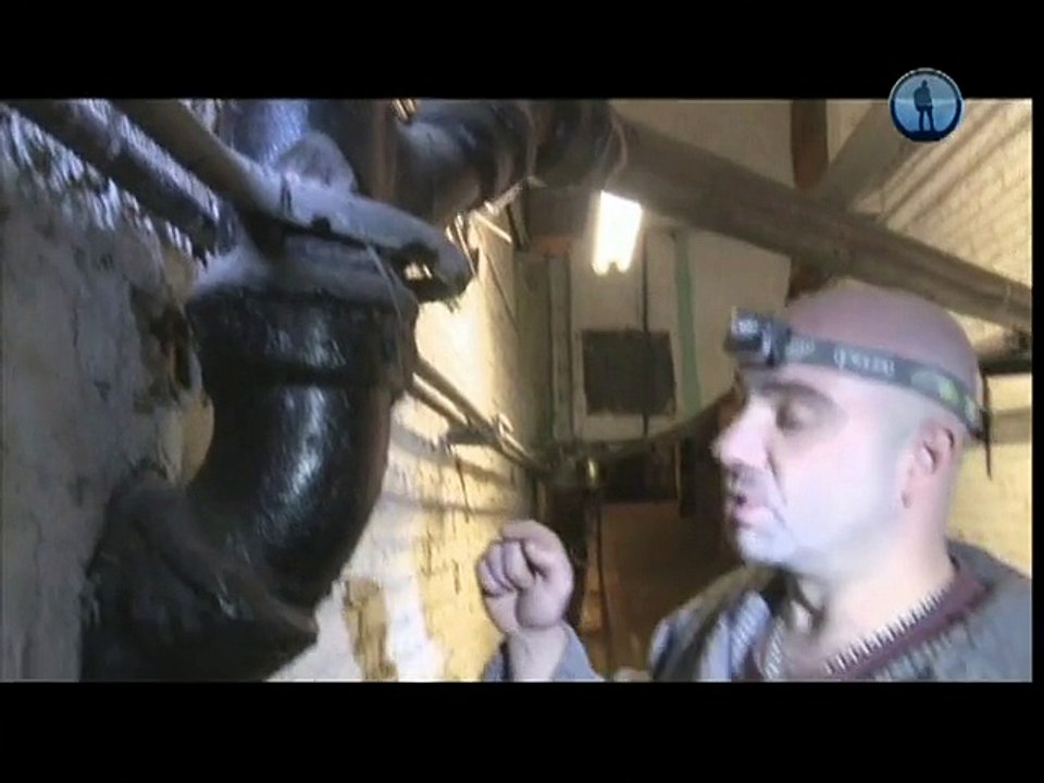 Тимофей Баженов - Коричневая чума (царство серых крыс)