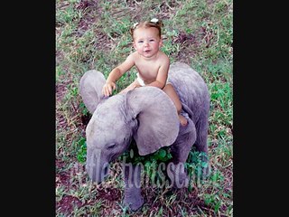 Henry Mancini - Baby Elephant Walk