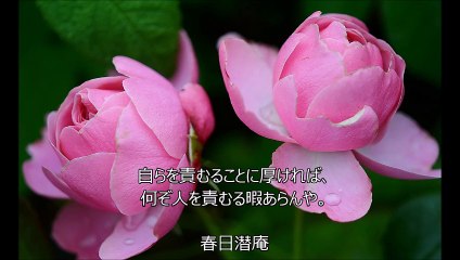 人生を見直すきっかけになる名言～春日潜庵～鈴木裕喜デザインoffice（熊本）
