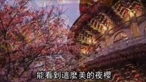 新北淡水天元宮賞春櫻 --蘋果日報 20150320