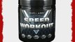 SygLabs Nutrition Speed Workout - Pre Workout Booster 30 Portionen 1er Pack (1 x 300 g)