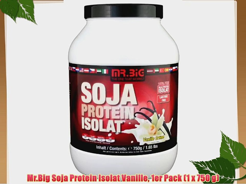 Mr.Big Soja Protein Isolat Vanille 1er Pack (1 x 750 g)