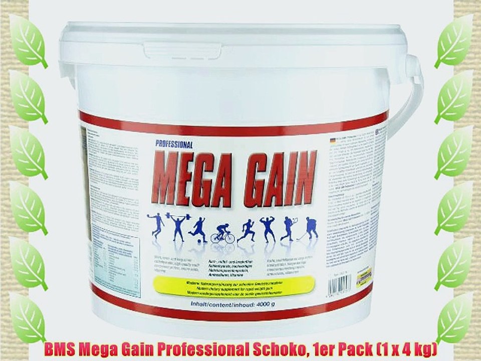 BMS Mega Gain Professional Schoko 1er Pack (1 x 4 kg)