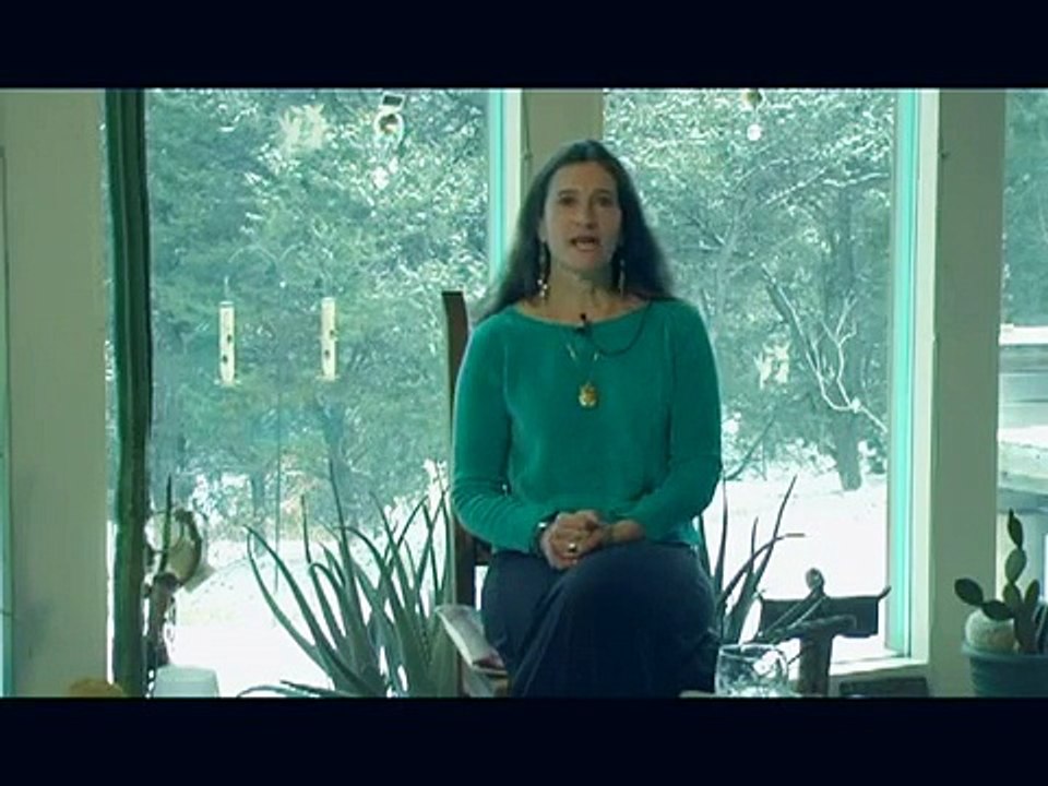 Shaman Sandra Ingerman on Shamanism