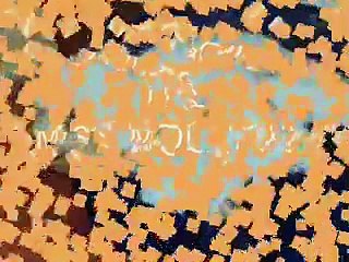 Very cute little fluffy puppy