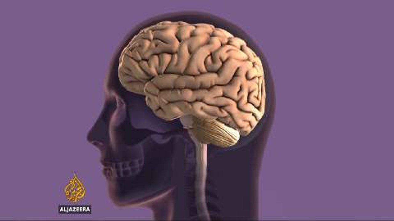 Alzheimers researchers develop drug that could...