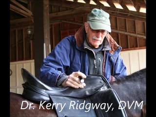 Saddle Fitting Course Highlights with Dr. Ridgway