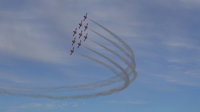 Snowbirds
