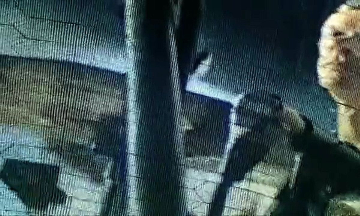 U2 - I'll Go Crazy If I Don't Go Crazy Tonight (Live)