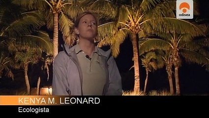 O Lado Negro Da Luz - Odisseia