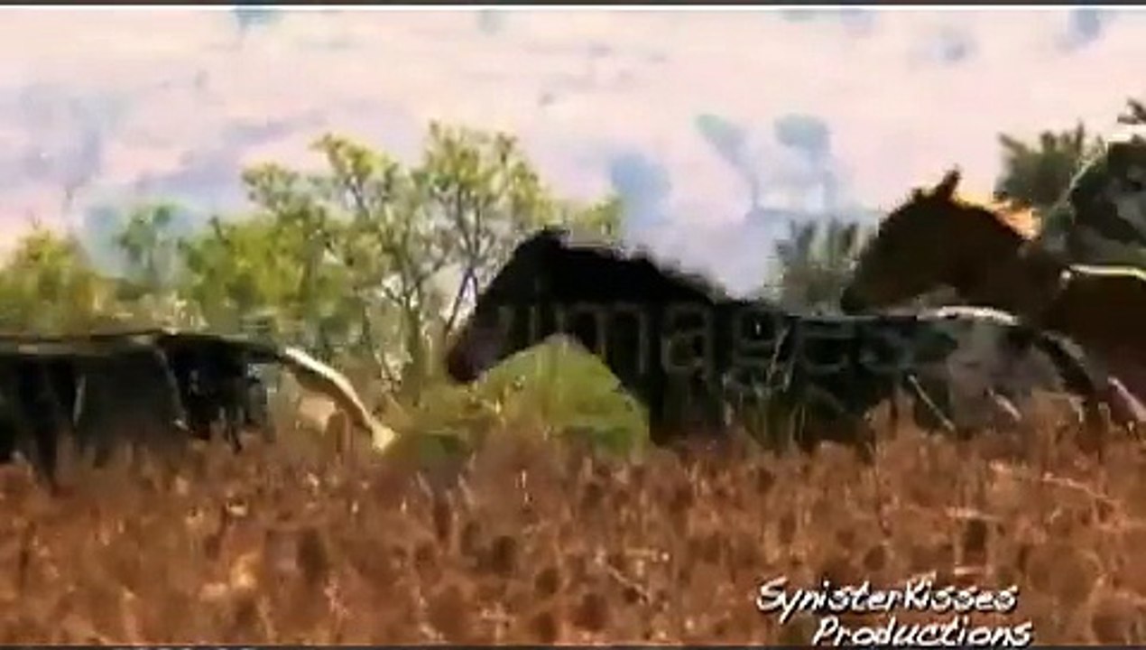 The Rhythm Of The Horse, In All Its Natural Glory