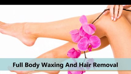 Wink Beauty & Lash Studio Royal Oak Salons