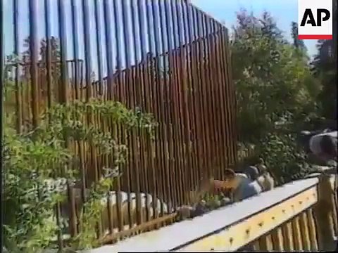 Un ours polaire attaque un touriste trop curieux dans un zoo en Australie. Il voulait prendre un Selfie