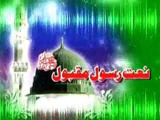 Tere Hote Janam Liya Hota best naat by farhan ali qadri