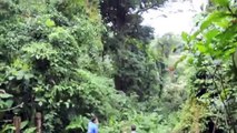 Selvatura Canopy - Tarzan Swing at Monteverde, Costa Rica