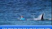 Video Shark attacks Australian surfer Mick Fanning! Jul 19, 2015 5