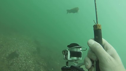 Il va sous l'eau avec sa canne à pêche pour voir les poissons gober son hameçon
