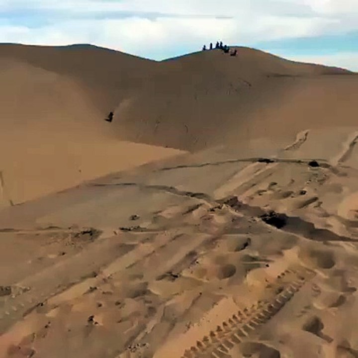 WHOA!!!