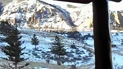 (2) Funniest Short Videos_3 deer