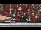 Centrafrique : Laurent Fabius répond à une question à l'Assemblée nationale (21/01/2014)
