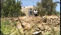 Israeli intimidation in Hebron - 14 July 07
