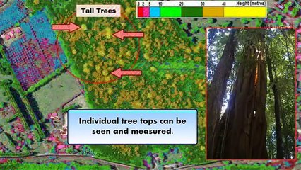 Vegetation Mapping and Measurement using LiDAR
