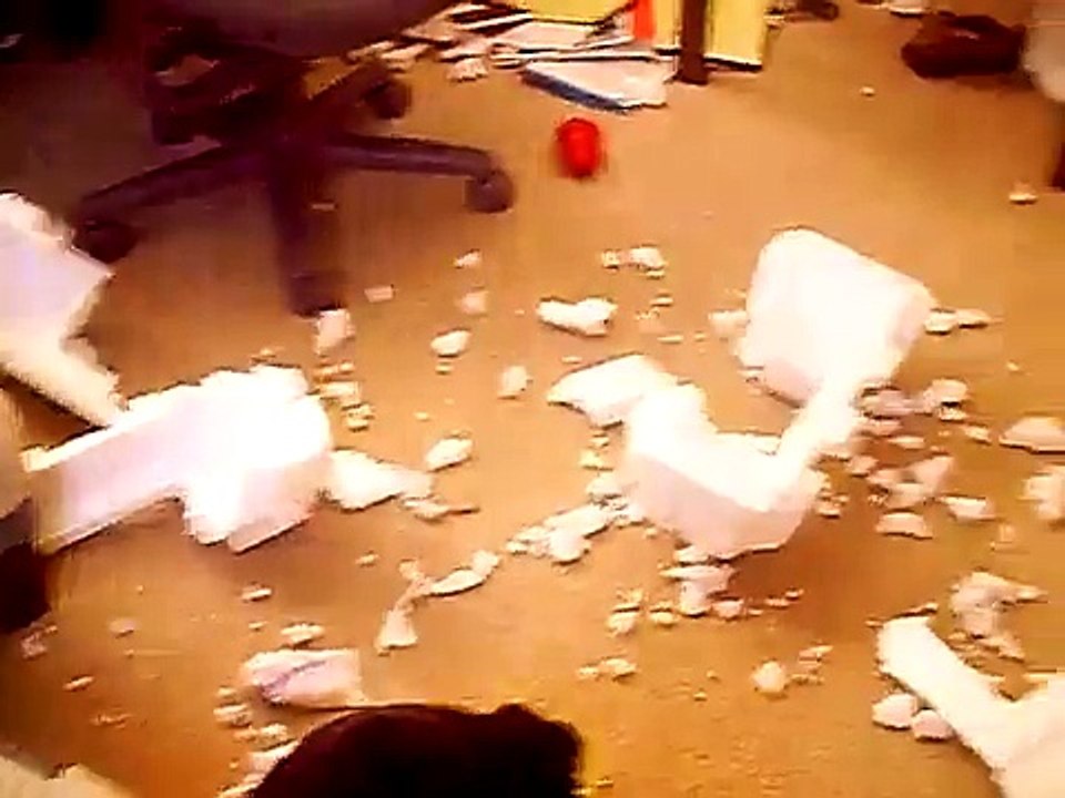 Bad Dog!!!
