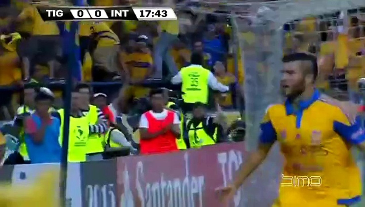 Gignac finale taşıdı!