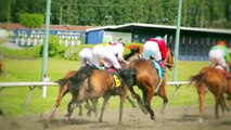 Horses in 1200 FPS Super Slow Motion at Hastings Race Track - Frank & Jen's Vancouver 1