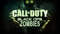 COD Black Ops Zombies Five Game Over music HQ