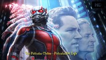 Ant-Man pelicula ver completas HD   Descargar torrent gratis