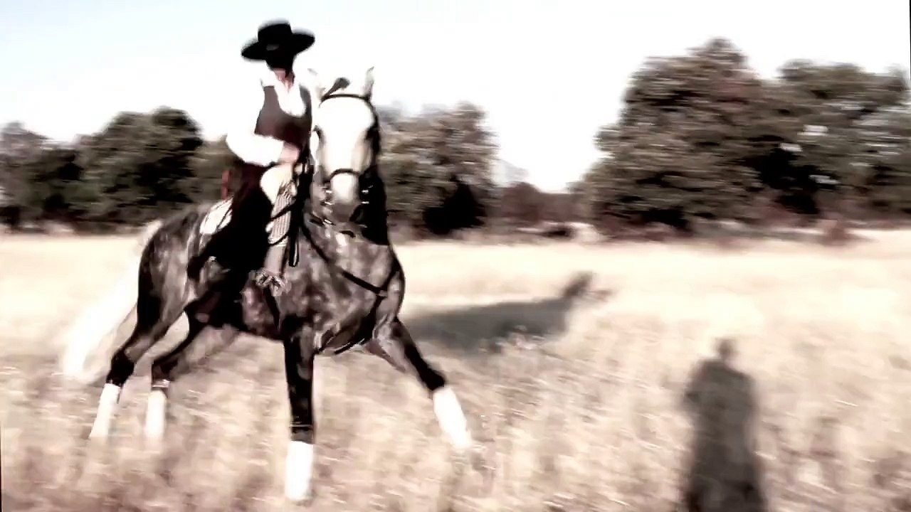 Doma vaquera • Dressage de Haute-école • Marine NEGRE