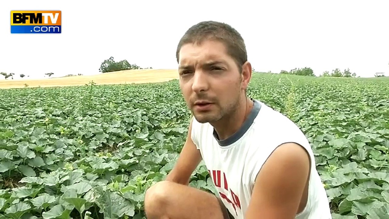 Crise des éleveurs: la filière maraîchère refuse d’être oubliée