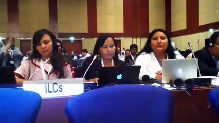 Red de Mujeres Indígena sobre Biodiversidad de América Latina y el Caribe (RMIB-LAC)