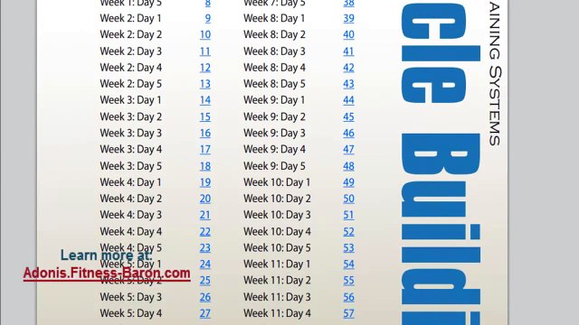 3 Sample Adonis Golden Ratio Workout Routines