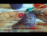 Artesanato crochê   Aprenda a fazer uma flor em crochê