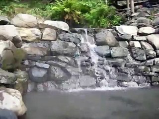 Cougar (Terwilliger) Hot Springs Oregon