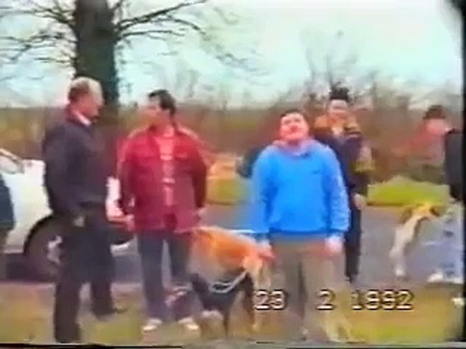 hare coursing -Tina Turner