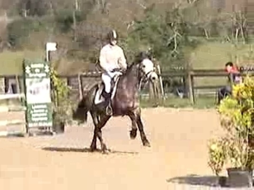 Omar de kerglenn Arradon d2p