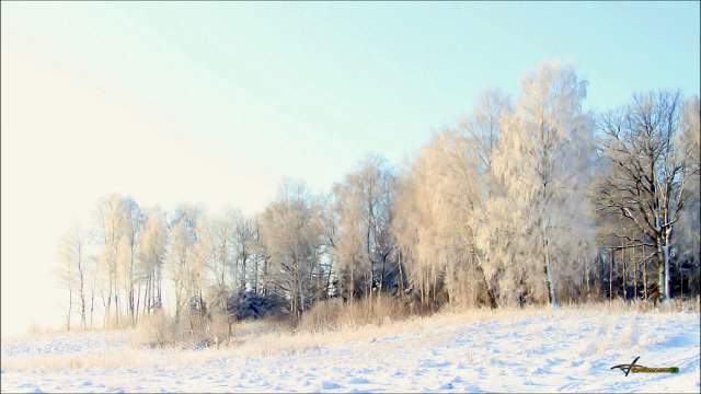 Gérard Manset - La Neige est Blanche
