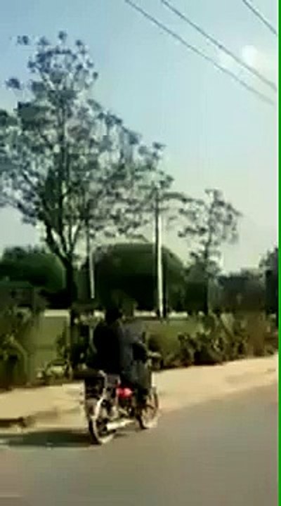 Elephant riding bike