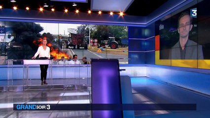 Elevage : les limites du  modèle allemand