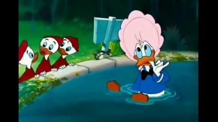 Hot Cartoon 2015 Full  Donald Duck Don s Fountain of Youth Andrea Cartoons.